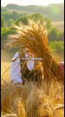 Scorpio daily zodiac horoscope