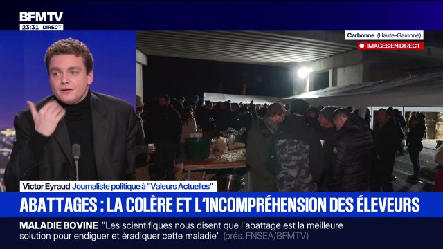 Abattages : la colère et l'incompréhension des éleveurs - 12/12