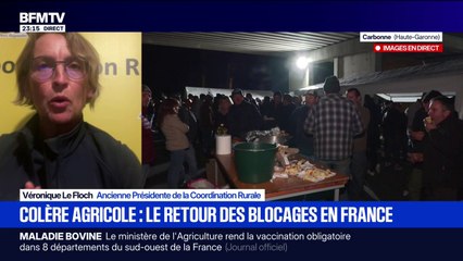 Dermatose bovine: "La France peut revenir à une politique d'abattage sélective uniquement pour les animaux gravement malades", dit Véronique Le Floch, ancienne Présidente de la Coordination Rurale