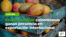 Frutas exóticas colombianas ganan presencia en exportación internacional