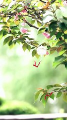 I Run Eternity, All Bow To Me (2025) - FULL HD [Eng Sub]