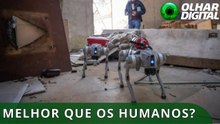 Robô-cão com IA combina visão, memória e tomada de decisão para missões de resgate