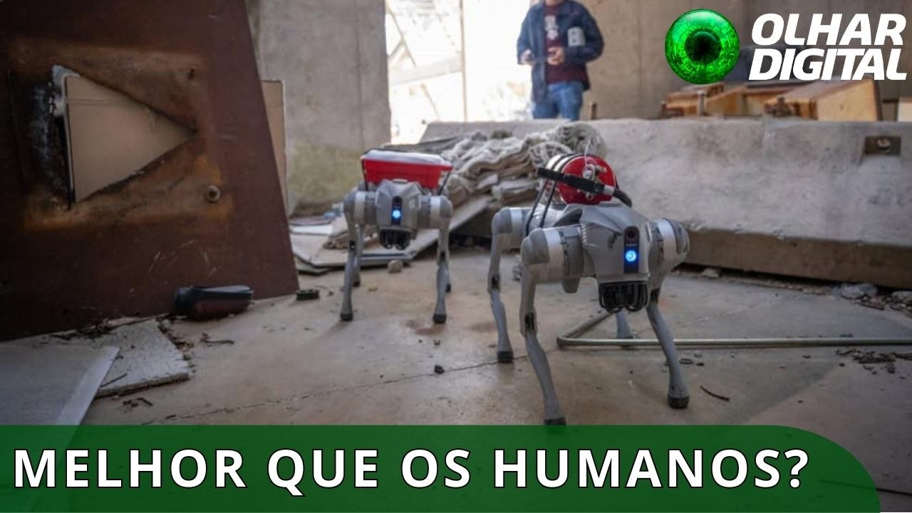 Robô-cão com IA combina visão, memória e tomada de decisão para missões de resgate