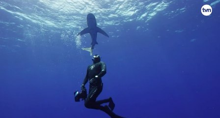 Fondo Bezos destina $24.5 millones para fortalecer la protección marina en Panamá, Costa Rica, Colombia y Ecuador