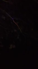 Documentary #Documentary #Dailymotion #DailymotionShorts #Dailymotion #AllDocumentaries #WSATrueStory #TrueStory