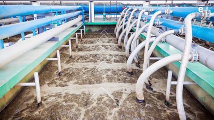 Supergripe en México | Sheinbaum invita al Papa a México | Tren México-Toluca, listo en 2026