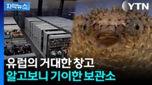 [자막뉴스] 매주 5천 개씩 쌓이는 유실물 보관소...유골함까지 분실물行 / YTN