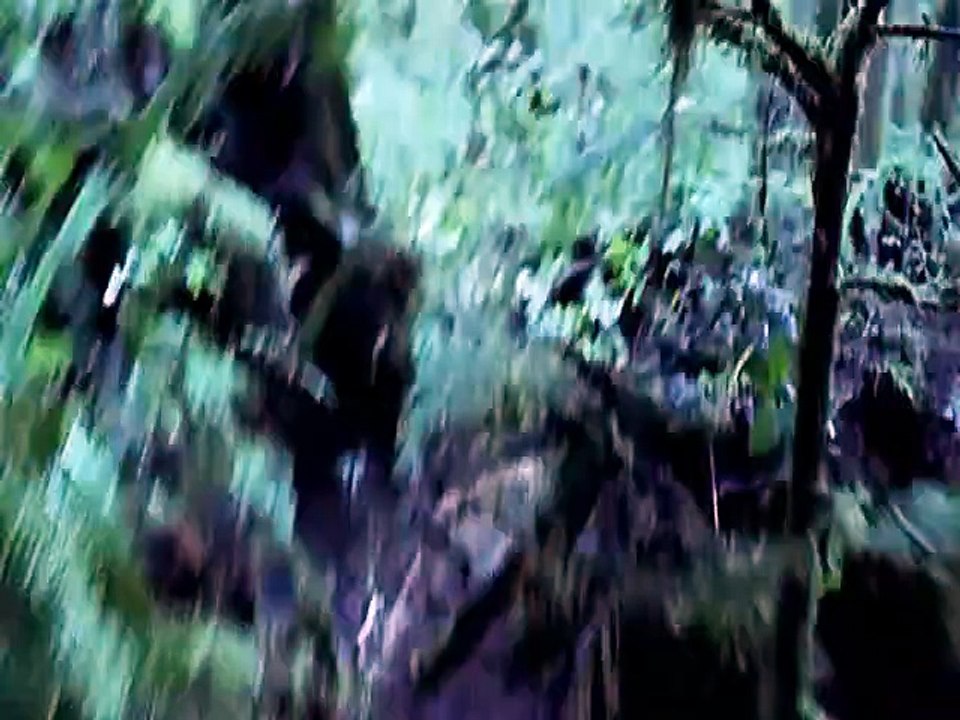 Twilight - Biss zum Morgengrauen Teaser DF