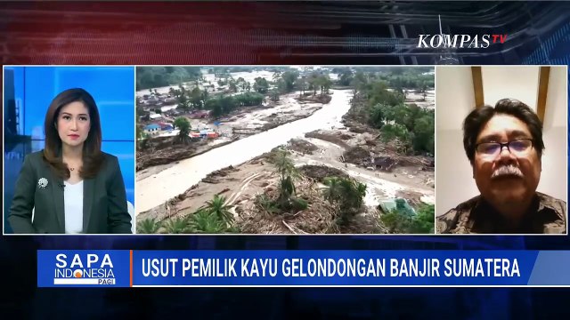 Blak-Blakan Asal Kayu Gelondongan di Banjir Sumatera, Guru Besar IPB Soroti Kebijakan Pejabat