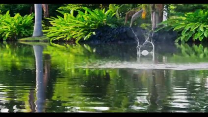 Doménica Montero - Capitulo 4