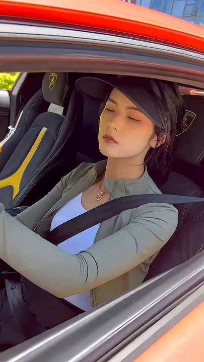 Horses are not pets_ they are companions