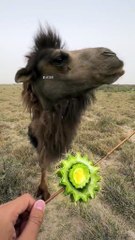 067bbbd308c6050d83ebf1e6a2ec81d4