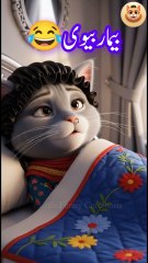 Hilarious Voice-Overs for Cats