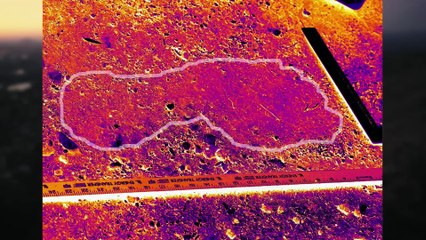 American Sasquatch: Man, Myth or Monster | movie | 2025 | Official Trailer