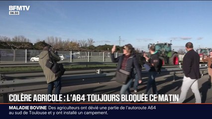 Abattages, Mercosur... De nombreux appels au rassemblement lancés par les syndicats agricoles