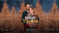 [Doblado ESP] Marry Me By Christmas