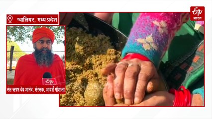 ठंड से जंग का इलाज, मध्य प्रदेश की सबसे बड़ी गौशाला में गायों के लिए तैयार हो रहे सेहत वाले लड्डू