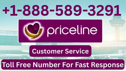 Priceline ®️ Customer Service: Phone, Email, or Chat Options : A Complete Guide
