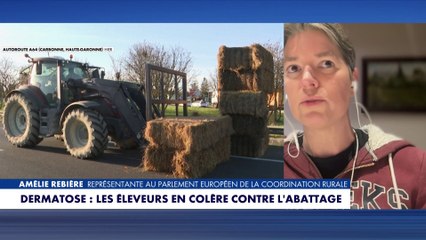 Amélie Rebière : «Ce n'est pas l'Union européenne qui oblige à l'abattage total»