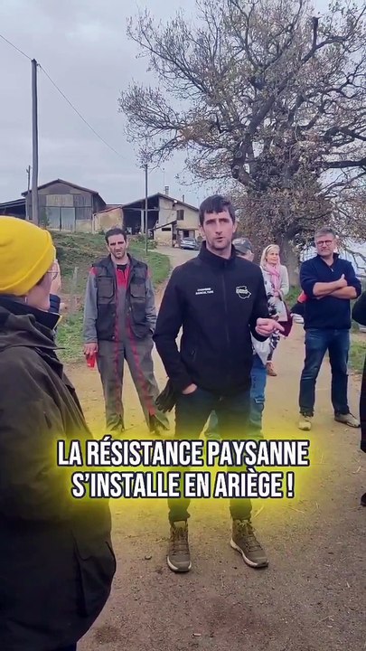 Agriculteurs : Les 200 vaches ont été abattus hier soir dans l'Ariège, mais les paysans en colère menacent désormais de bloquer le pays