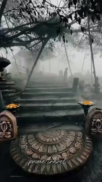 VID-winter season