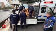 İstanbul Esenyurt'ta 9 ton 400 kilogram jelibon ve çeşitli şekerleme ürünü imha edildi