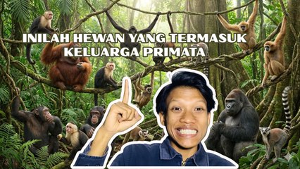 Hewan Primata