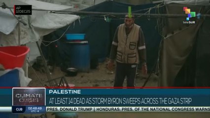 Palestine: At least 14 dead as Storm Byron sweeps across the Gaza Strip