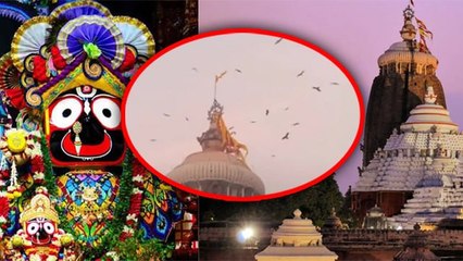 Shri Jagannath Mandir के शिखर पर चीलों का झुंड दिखना किसका संकेत,कलियुग का अंत होने वाला है |Boldsky
