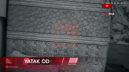 Osmaniye'de yatak odasındaki hırsızlık anı kameraya yansıdı
