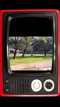 🦬 Meet mighty Wild Gaur — also known as Indian Bison #WildGaur #IndianBison