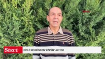 Dicle Nehri’nden ‘köpük’ akıyor