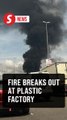 Eight fire stations respond to factory blaze in Puncak Alam