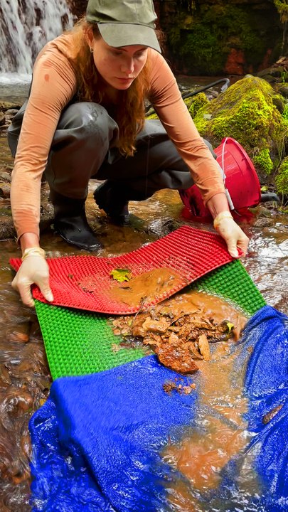 Gold Prospecting 101: Your First Time Panning in a River #fblifestyle