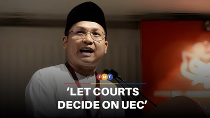 Let courts decide on UEC, says Umno Youth leader