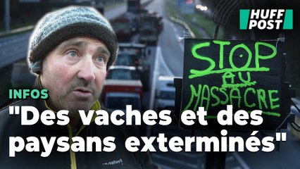 Des agriculteurs protestent contre le protocole de la dermatose en bloquant plusieurs axes routiers