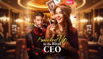 Knocked Up By The Rival Ceo
