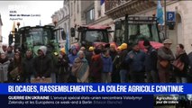 Des agriculteurs mobilisés devant la préfecture de Mont-de-Marsan, dans les Landes