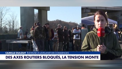 Camille Dulout : «La dermatose est la goutte d'eau qui fait déborder le vase»