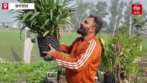 विदेश की जॉब छोड़ नितिन ने शुरू किया स्टार्टअप, कचरे से तैयार किया गमला, पर्यावरण के साथ कर रहे जल संरक्षण, सालाना करोड़ों का है टर्नओवर