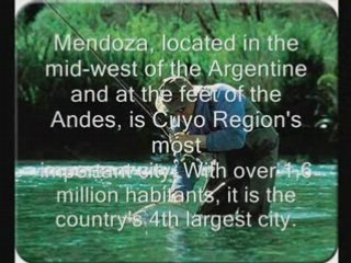 Excepcional BODEGA 5.000.000 litros en ...