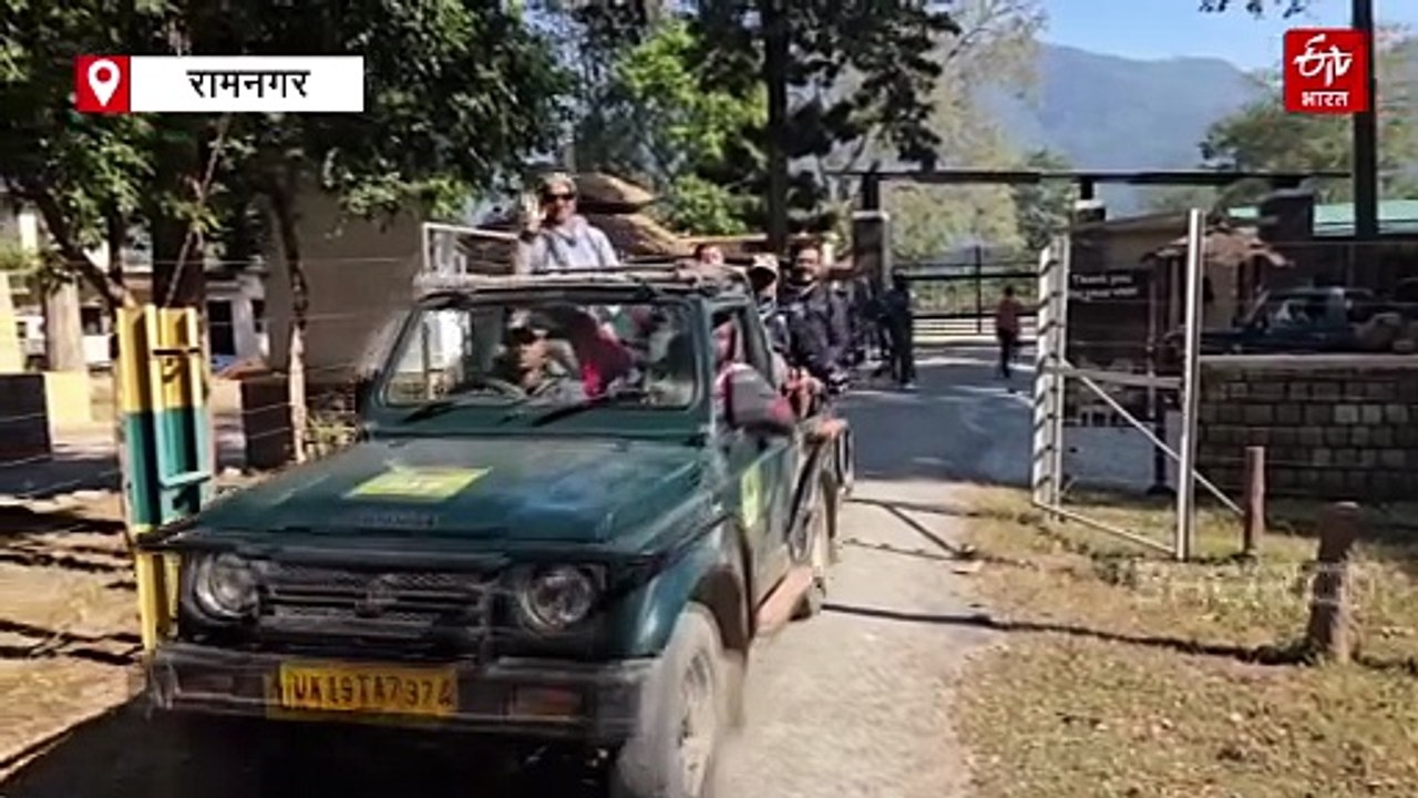 कॉर्बेट में वॉकी टॉकी के साथ पर्यटक ने की सफारी, 6 महीने के लिए लगा प्रतिबंध, जानिये वजह