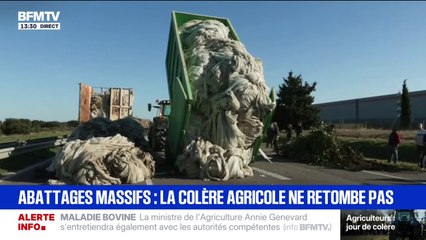 Dermatose bovine: les agriculteurs "mettent fin" au blocage à Saint-Martin-de-Crau et "déversent des bennes" sur l'autoroute