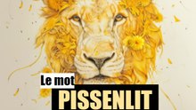 Le mot PISSENLIT