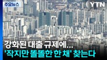 강화된 대출 규제에...'작지만 똘똘한 한 채' 찾는다 / YTN