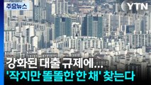 강화된 대출 규제에...'작지만 똘똘한 한 채' 찾는다 / YTN