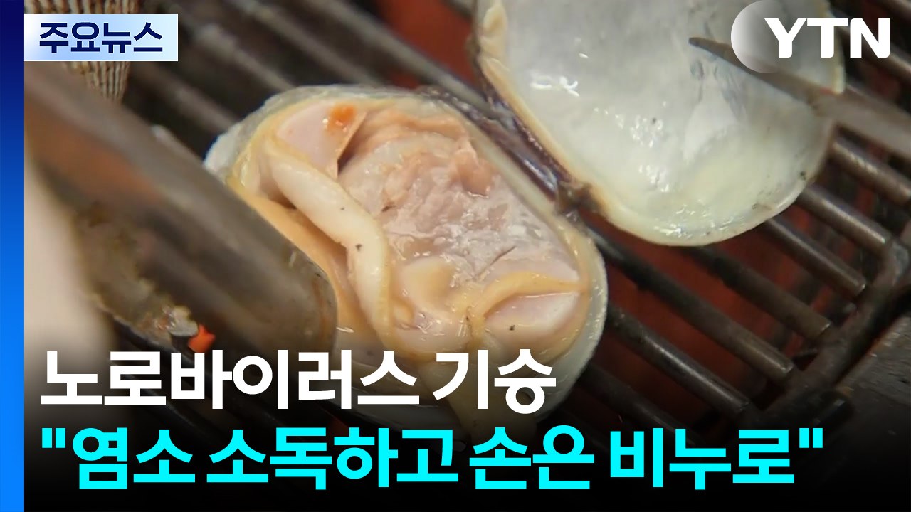 '겨울 식중독' 노로바이러스 기승..."염소 소독하고 손은 비누로" / YTN