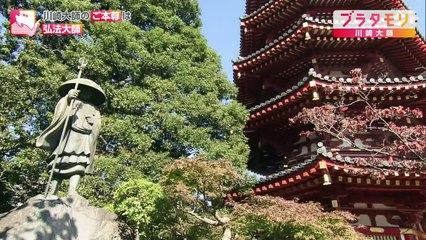 ブラタモリ 2025年日12月13日 日本有数の初詣スポット川崎大師 その人気の秘密に迫る