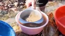Gold panning in rivers & streams