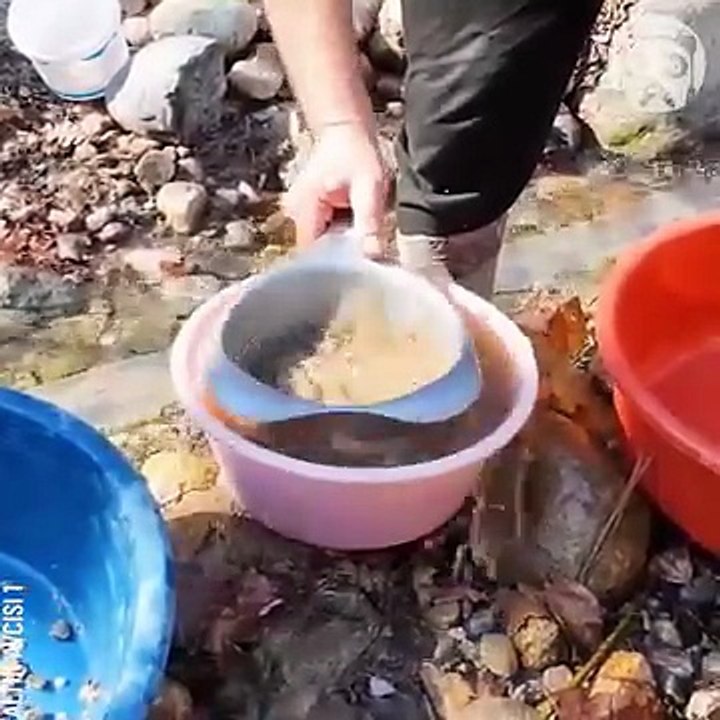 Gold panning in rivers & streams